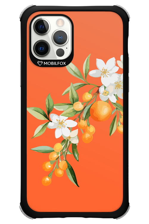 Amalfi Oranges - Apple iPhone 12 Pro