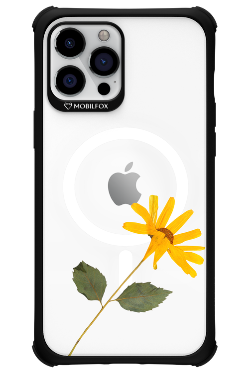 Pressed Flower - Apple iPhone 12 Pro Max