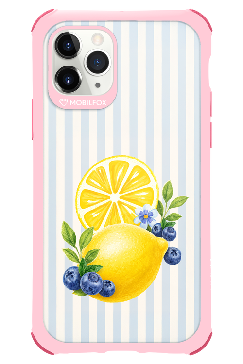 Fresh Flash 2.0 - Apple iPhone 11 Pro