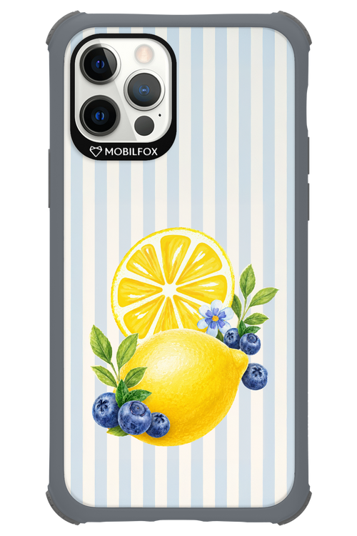 Fresh Flash 2.0 - Apple iPhone 12 Pro