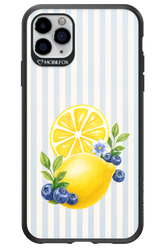 Fresh Flash 2.0 - Apple iPhone 11 Pro Max