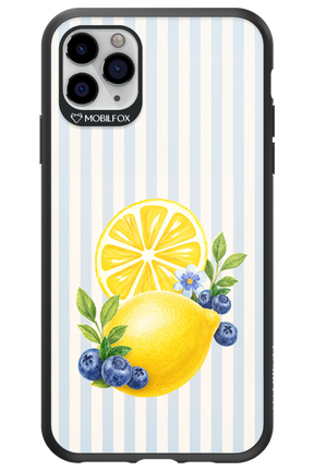 Fresh Flash 2.0 - Apple iPhone 11 Pro Max