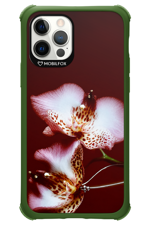 Leobloomy 2.0 - Apple iPhone 12 Pro