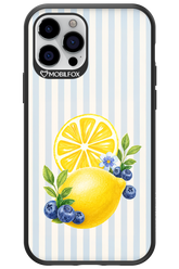 Fresh Flash 2.0 - Apple iPhone 12 Pro