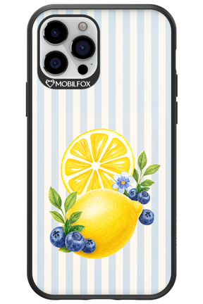 Fresh Flash 2.0 - Apple iPhone 12 Pro