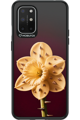 Not Your Flower 2.0 - OnePlus 8T