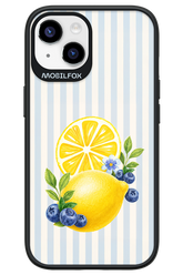 Fresh Flash 2.0 - Apple iPhone 14