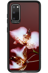 Leobloomy 2.0 - Samsung Galaxy S20