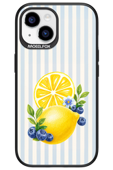 Fresh Flash 2.0 - Apple iPhone 15