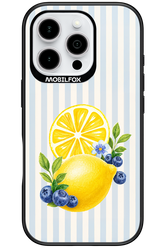 Fresh Flash 2.0 - Apple iPhone 16 Pro