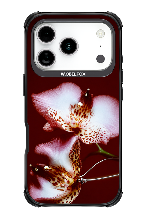 Leobloomy 2.0 - Apple iPhone 17 Pro