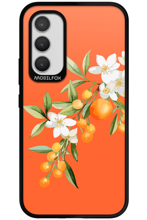 Amalfi Oranges - Samsung Galaxy A34