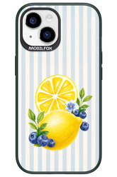 Fresh Flash 2.0 - Apple iPhone 15