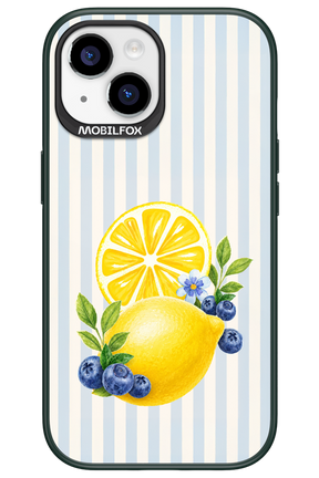 Fresh Flash 2.0 - Apple iPhone 15