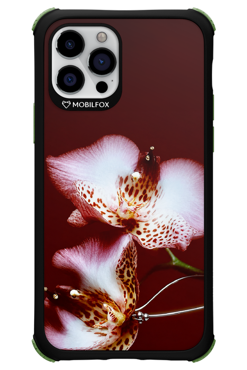 Leobloomy 2.0 - Apple iPhone 12 Pro