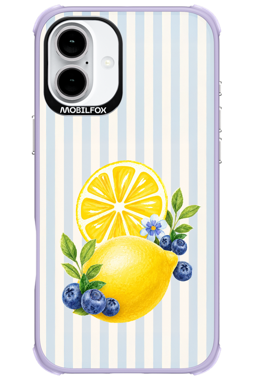 Fresh Flash 2.0 - Apple iPhone 16 Plus
