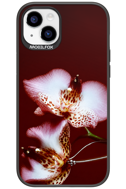 Leobloomy 2.0 - Apple iPhone 15 Plus