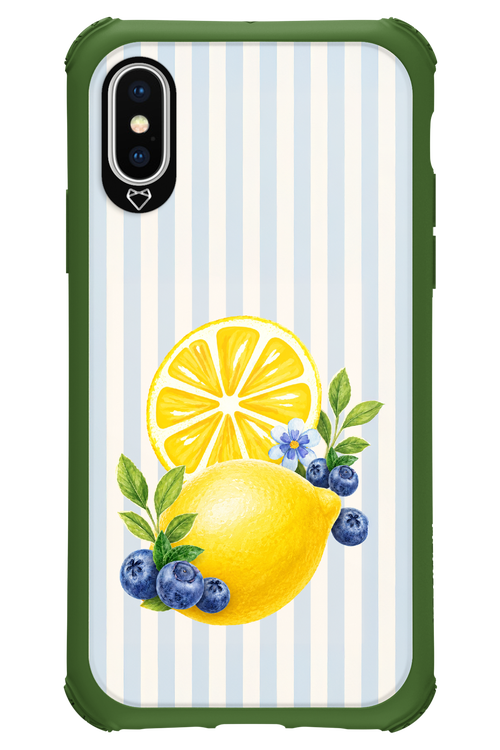 Fresh Flash 2.0 - Apple iPhone XS