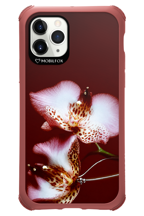 Leobloomy 2.0 - Apple iPhone 11 Pro