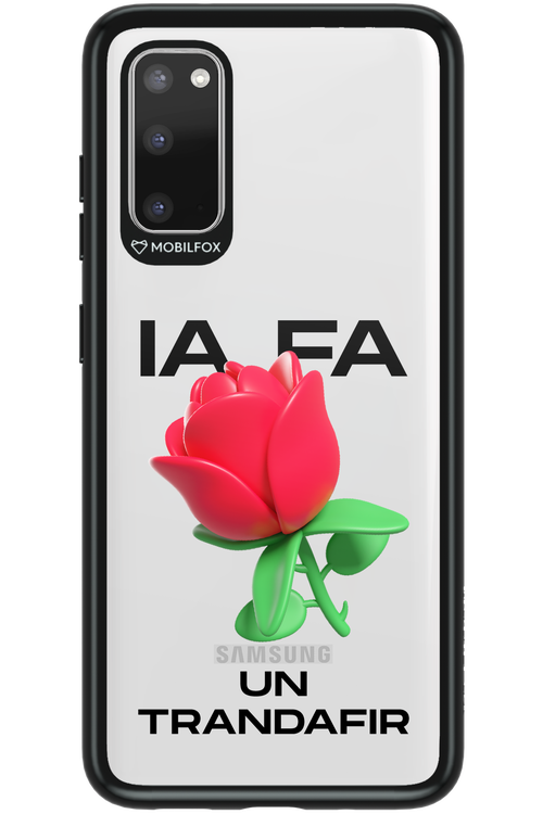 IA Rose Transparent - Samsung Galaxy S20