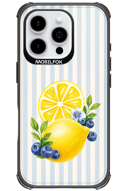 Fresh Flash 2.0 - Apple iPhone 16 Pro
