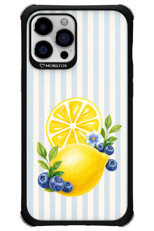 Fresh Flash 2.0 - Apple iPhone 12 Pro Max