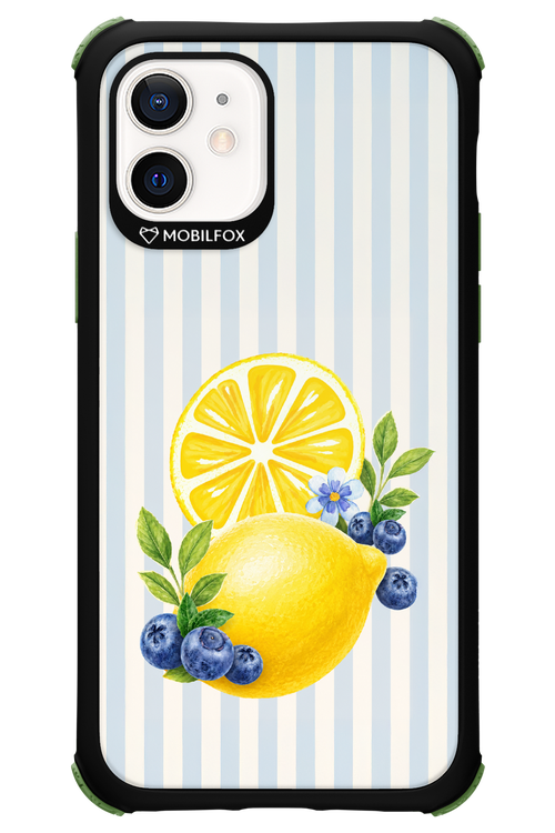Fresh Flash 2.0 - Apple iPhone 12