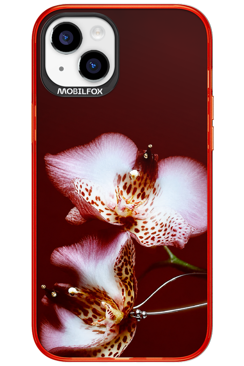 Leobloomy 2.0 - Apple iPhone 15 Plus