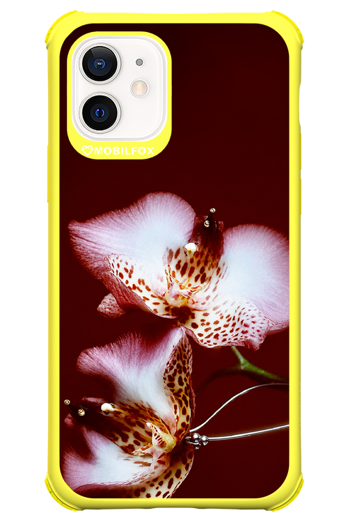 Leobloomy 2.0 - Apple iPhone 12