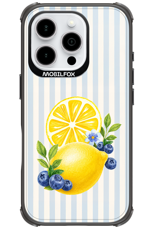 Fresh Flash 2.0 - Apple iPhone 16 Pro