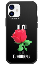 Rose Black - Apple iPhone 12 Mini