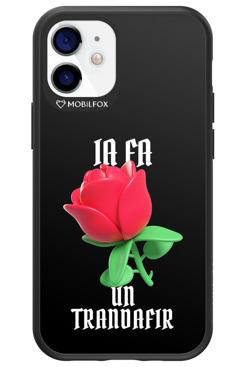 Rose Black - Apple iPhone 12 Mini