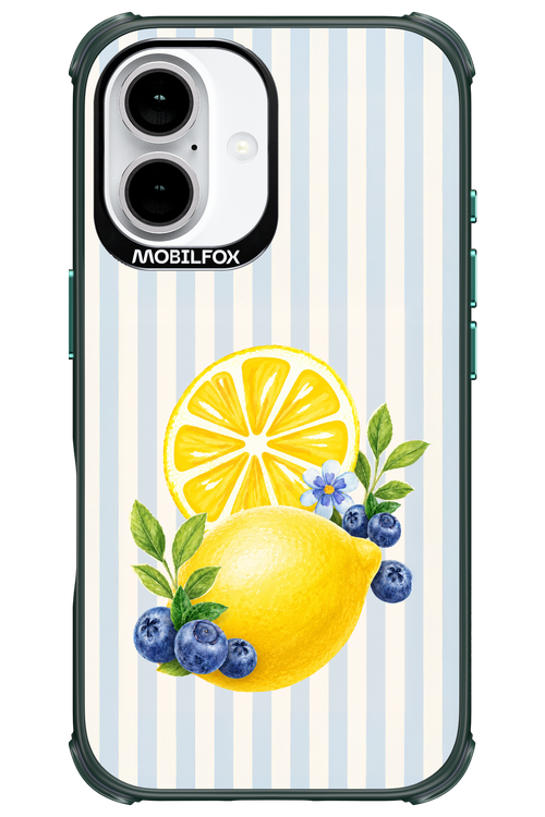 Fresh Flash 2.0 - Apple iPhone 16