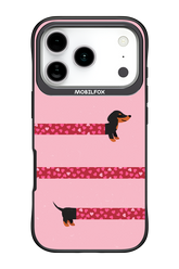 PAWS & KISSES 2.0 - Apple iPhone 17 Pro