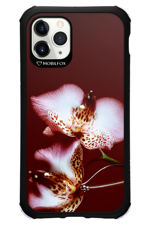Leobloomy 2.0 - Apple iPhone 11 Pro