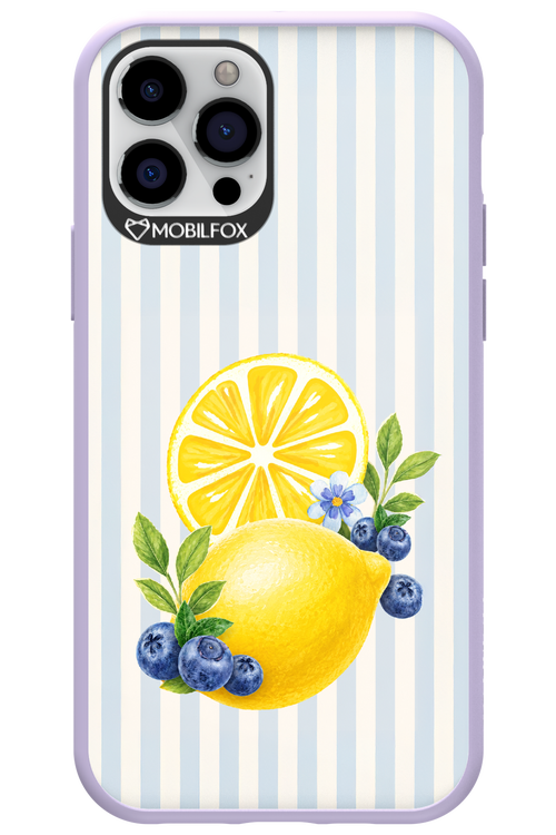 Fresh Flash 2.0 - Apple iPhone 12 Pro