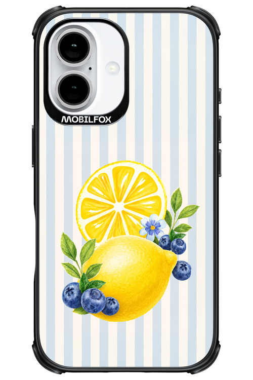 Fresh Flash 2.0 - Apple iPhone 16