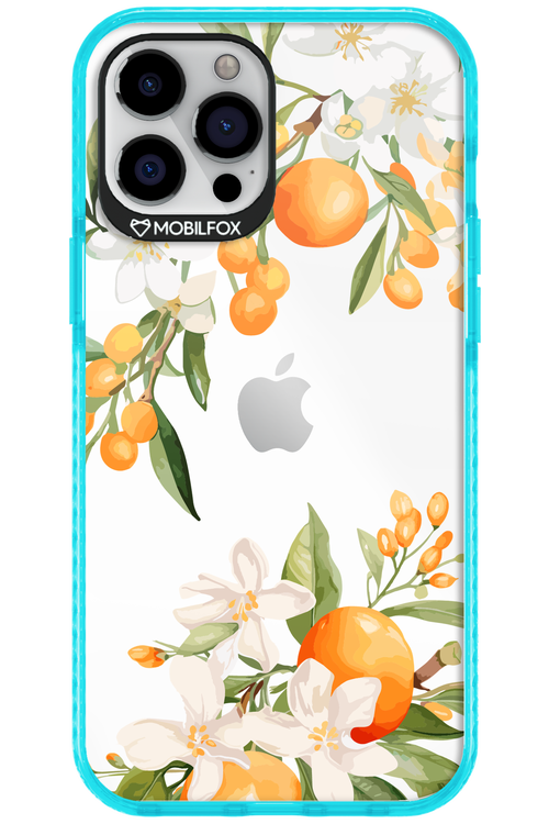 Amalfi Orange 2.0 - Apple iPhone 12 Pro Max