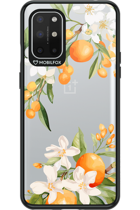 Amalfi Orange 2.0 - OnePlus 8T