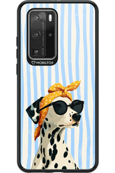 Vintage Dog 2.0 - Huawei P40 Pro