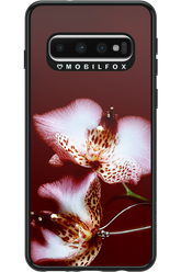 Leobloomy 2.0 - Samsung Galaxy S10