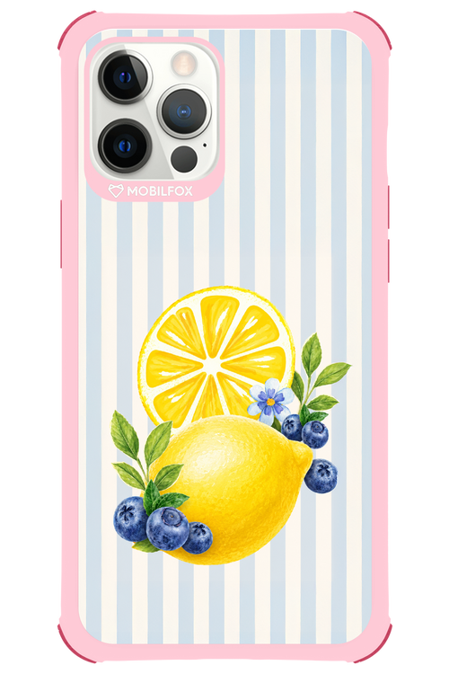 Fresh Flash 2.0 - Apple iPhone 12 Pro Max