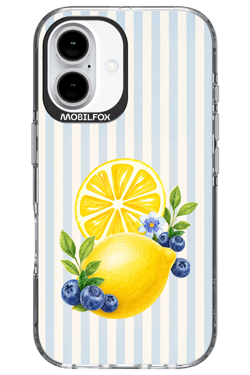 Fresh Flash 2.0 - Apple iPhone 16