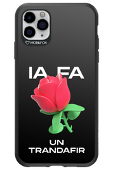 IA Rose Black - Apple iPhone 11 Pro Max