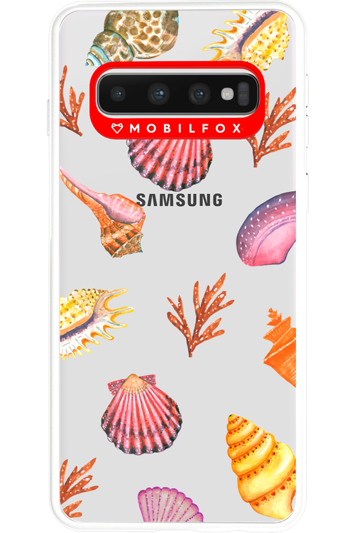 Sea Shells - Samsung Galaxy S10