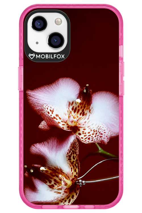Leobloomy 2.0 - Apple iPhone 13