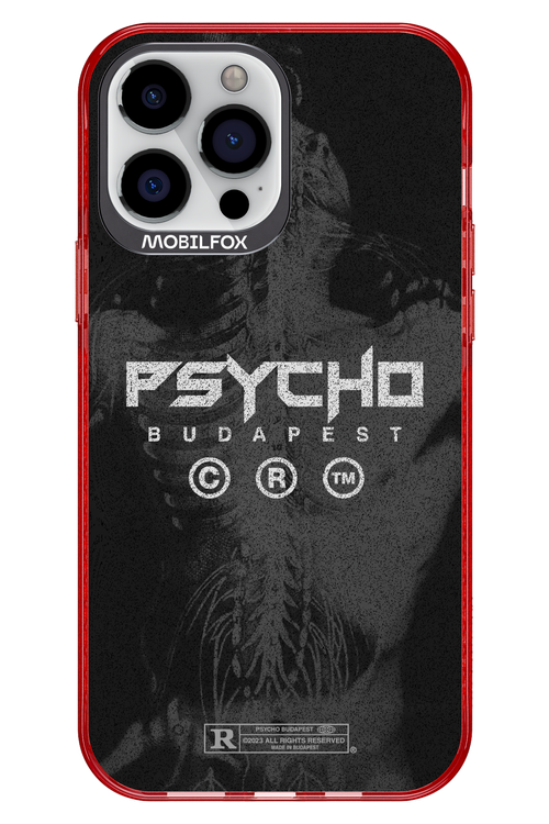 X-Ray - Apple iPhone 13 Pro Max