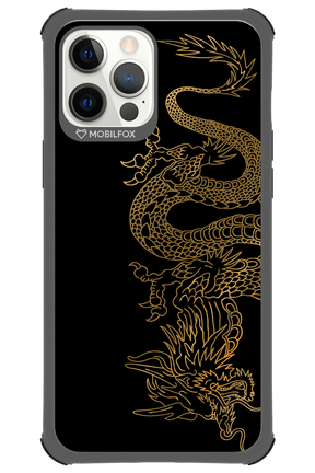 Gold Age - Apple iPhone 12 Pro Max