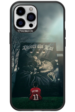Direct Din Tei Artwork 2.0 - Apple iPhone 12 Pro Max
