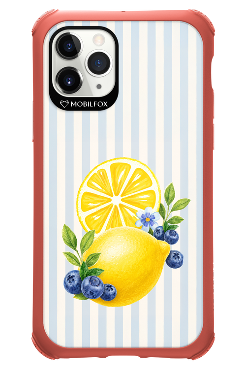 Fresh Flash 2.0 - Apple iPhone 11 Pro